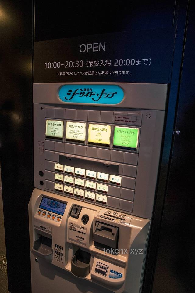 《假如活在二次元世界》的深度解析与未来展望
